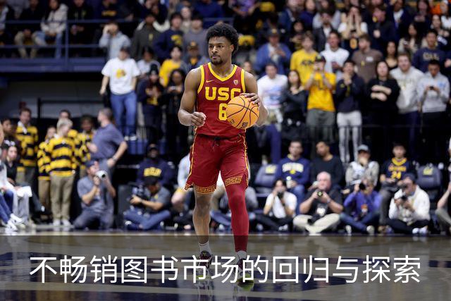 不畅销图书市场的回归与探索