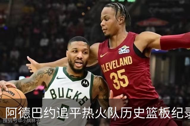 阿德巴约追平热火队历史篮板纪录，哈斯勒姆表示支持